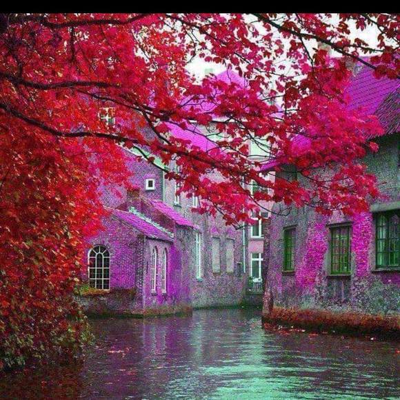 Meet your Posher, Felicia - Picture 1 of 1